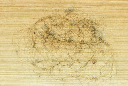 Close up, Dirty alopecia hair and dust on laminate floor.の写真素材