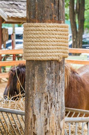 Rope surround a pillar on a farm horse.の写真素材