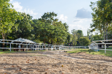 background white fence hourse stables.の写真素材