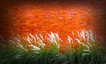 Red brick wall background with grass flower