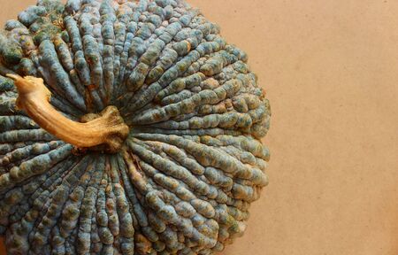 Pumpkin backgroundの写真素材