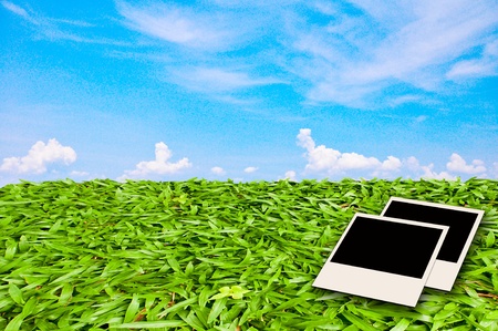 fresh spring green grass and photo paperの写真素材