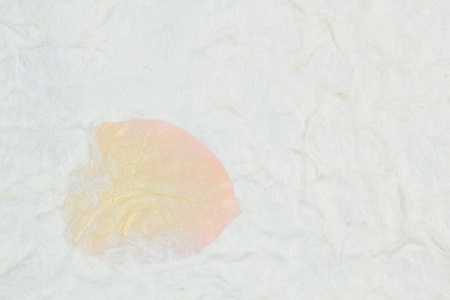 Mulberry paper background の写真素材