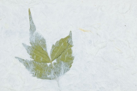 Mulberry paper background の写真素材