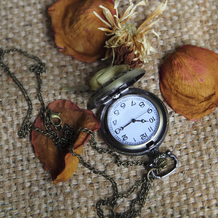Vintage pocket watch with dry rooseの写真素材