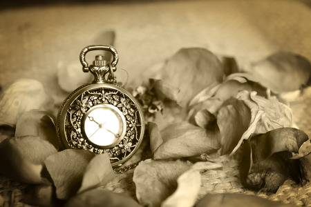 Vintage pocket watch with dry rooseの写真素材