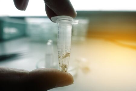 scientist hand holding laboratory test tube with soft focusの写真素材