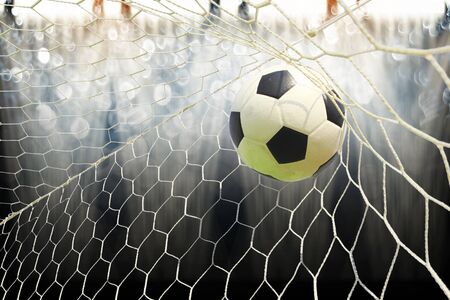 soccer fieldの写真素材
