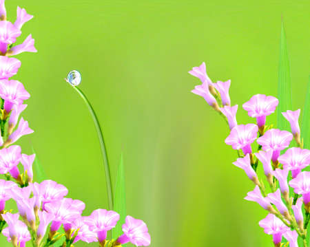 beautiful abstract background の写真素材