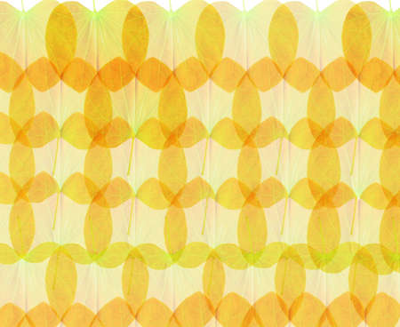 yellow leaves background の写真素材