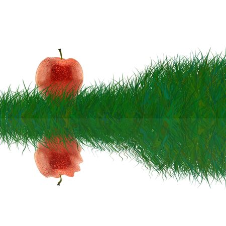 Red apple in the grass の写真素材