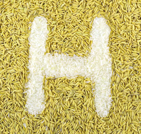 Letter from rice の写真素材