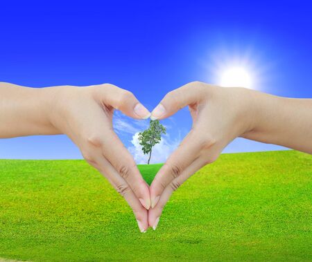 hand and nature concept insideの写真素材