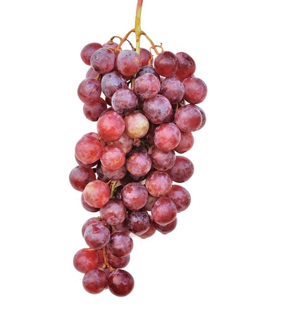 red grape isolated on white backgroundの写真素材