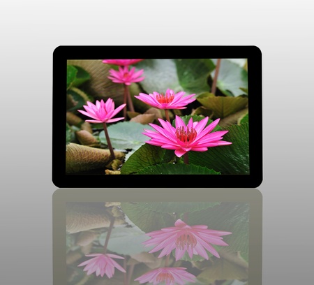 Tablet Computer の写真素材