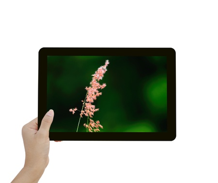 touch tablet computer isolated on white background の写真素材