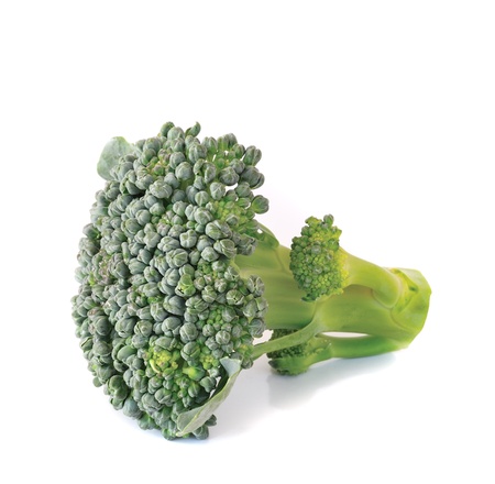 Broccoli on white backgroundの写真素材
