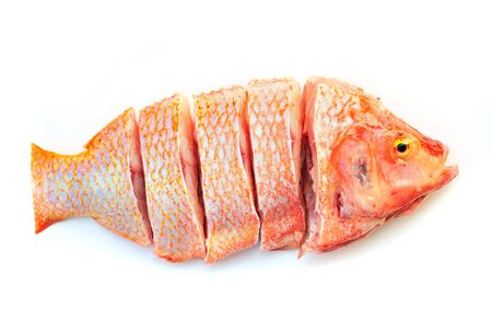 Fish slices on the white backgroundの写真素材