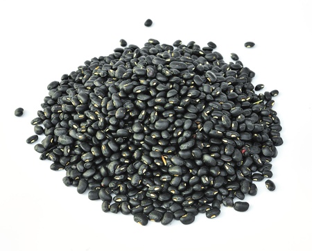 Black beans.の写真素材