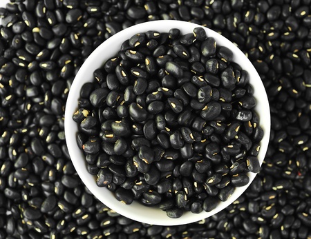 Black beans.の写真素材