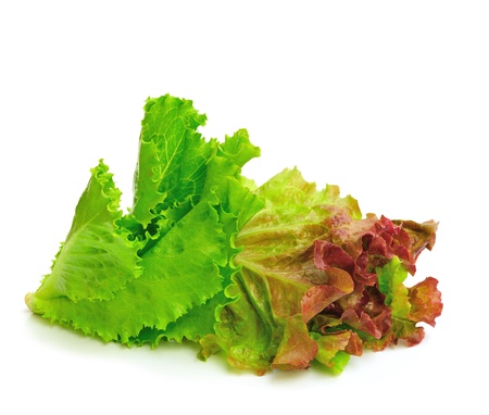 fresh green lettuce leaves isolated on whiteの写真素材