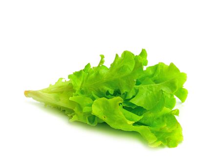fresh green lettuce leaves isolated on whiteの写真素材