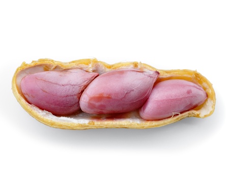 Peanut isolated on white background の写真素材