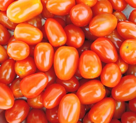 tomatos の写真素材