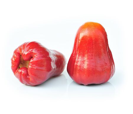 Rose apples on white background の写真素材
