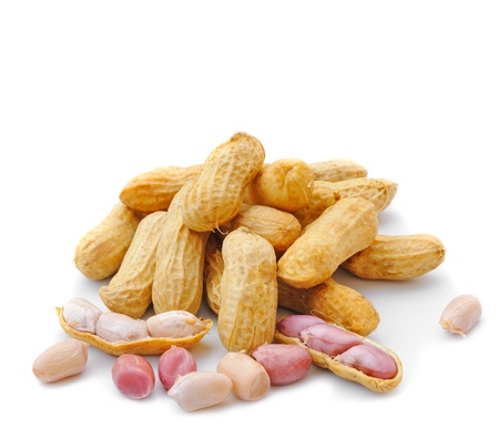 Peanut isolated on white background の写真素材