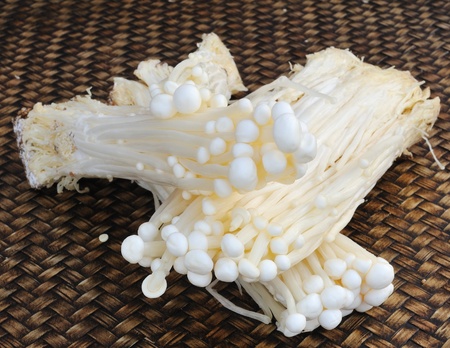 golden needle mushroom 