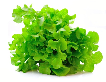 fresh green lettuce leaves isolated on white の写真素材
