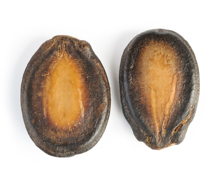 Black Melon Seeds on white background の写真素材