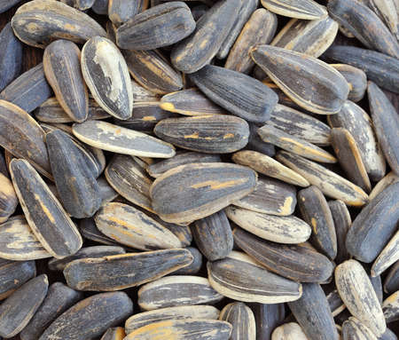 sunflower seeds 