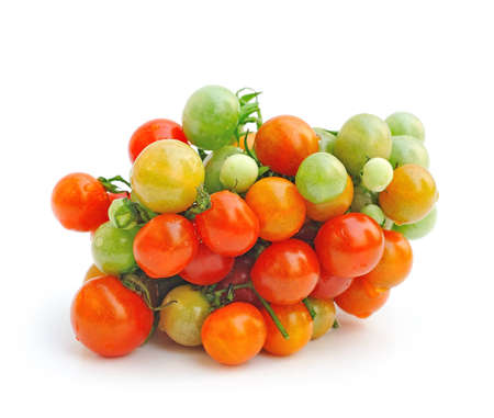 fresh tomatoes の写真素材