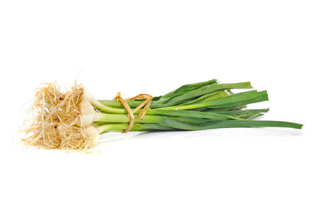 young green garlic leaves isolatedの写真素材