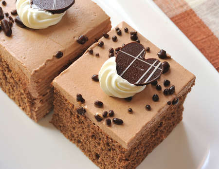 Piece of chocolate cake の写真素材