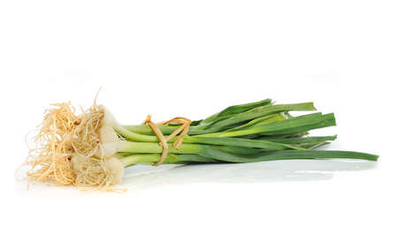young green garlic leaves isolated の写真素材