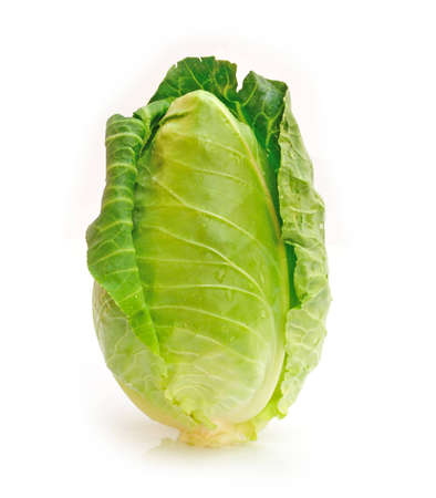 Green cabbage on white backgroundの写真素材