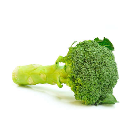 Broccoli on white backgroundの写真素材