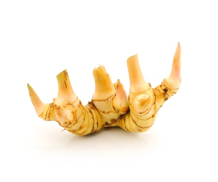 galangal on white background の写真素材