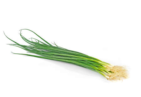 Green Onion の写真素材