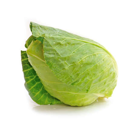 Green cabbage isolated on white background の写真素材