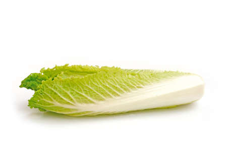 cabbage isolated on white の写真素材