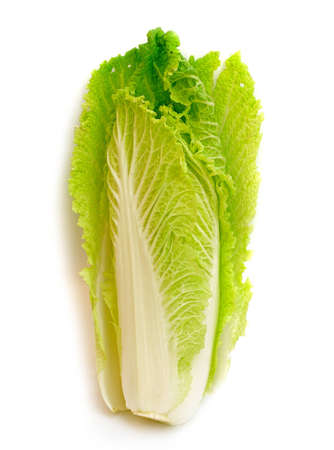 cabbage isolated on white の写真素材