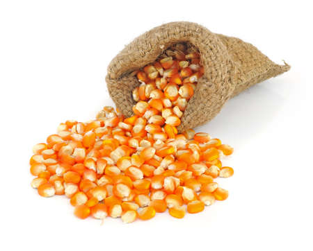 small bag of corn on a white background 