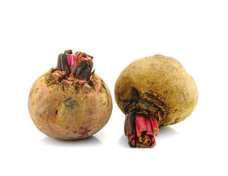 beet roots isolated on a white background の写真素材