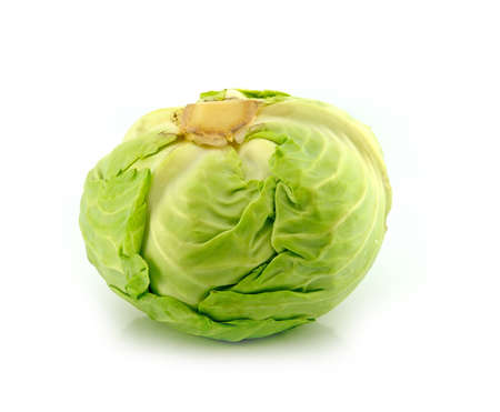 cabbage isolated on white background の写真素材