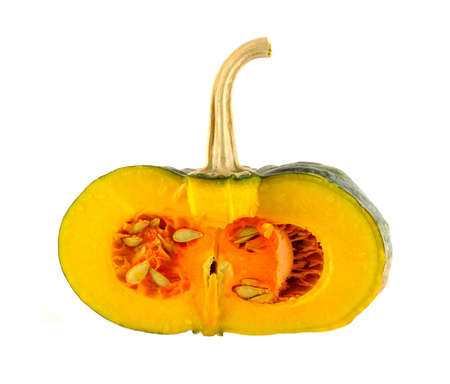 pumpkin on white backgroundの写真素材