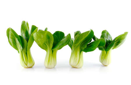 Bok choy (chinese cabbage) isolated on white の写真素材